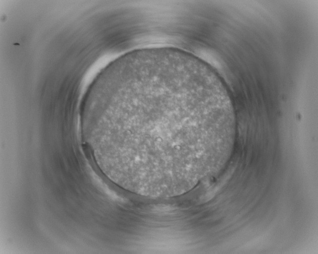 X0000074971472200609291926