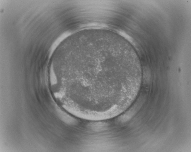 X0000074971474200609291925