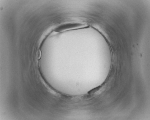 X0000074971477200609291925