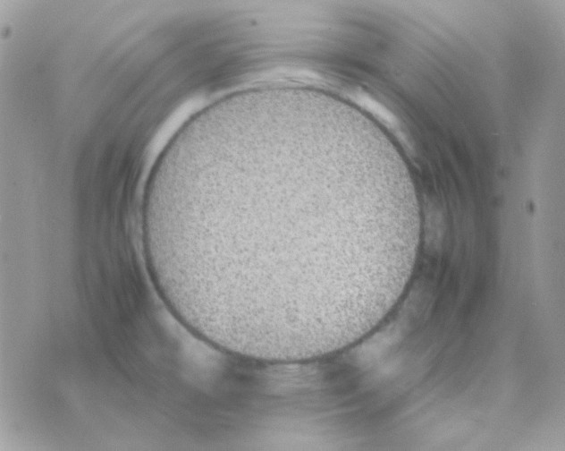 X0000074971478200609291925