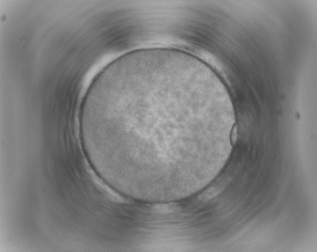 X0000074971480200609291925