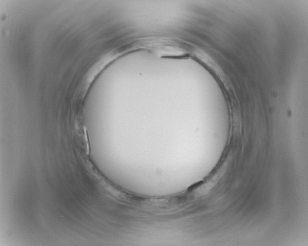 X0000074971481200609291925