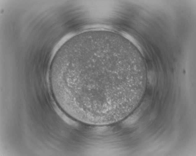 X0000074971482200609291925