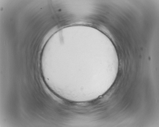 X0000074971483200609291925