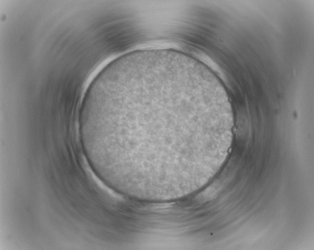 X0000074971484200609291925