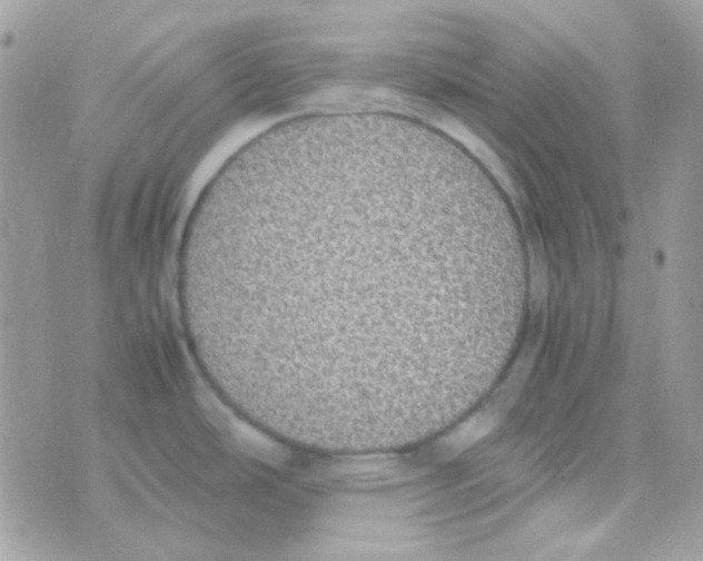 X0000074971486200609291925