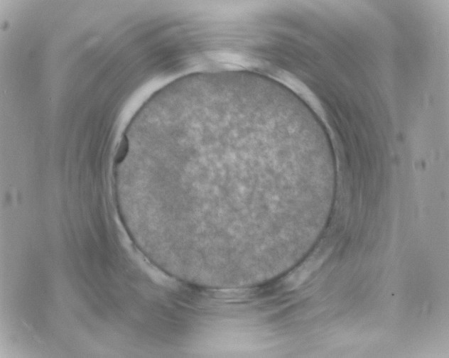 X0000074971488200609291925