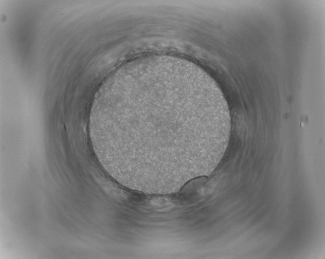 X0000074971489200609291924