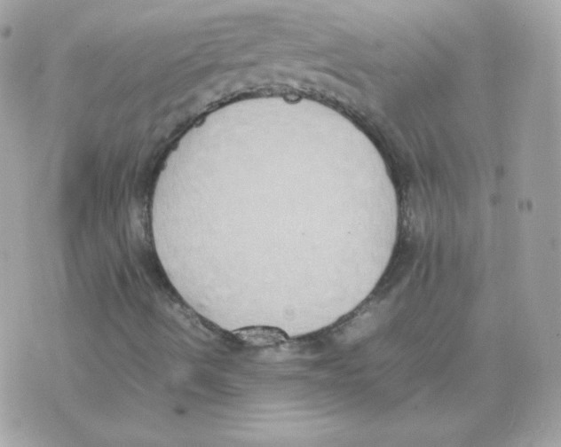 X0000074971490200609291924