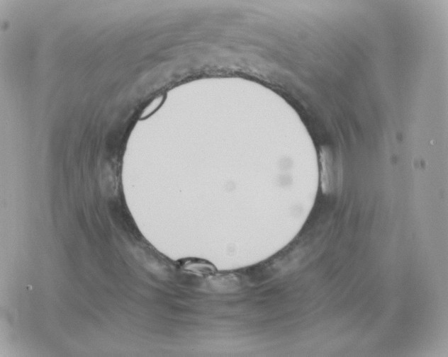 X0000074971491200609291924