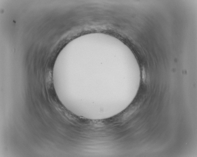 X0000074971492200609291925