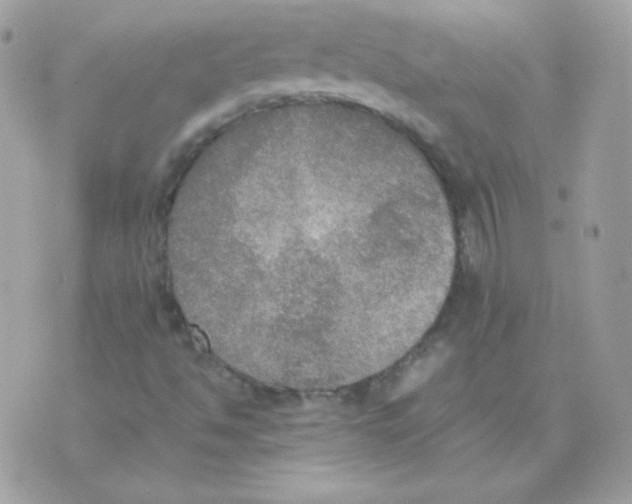 X0000074971494200609291925