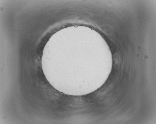 X0000074971495200609291925