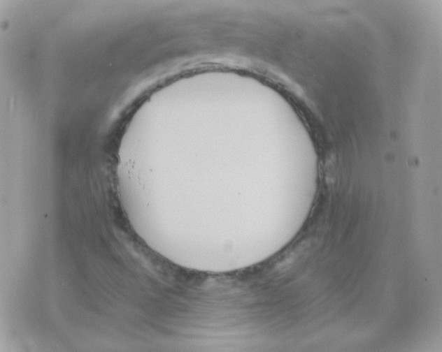 X0000074971496200609291925