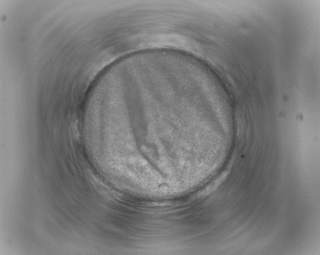 X0000074971497200609291925