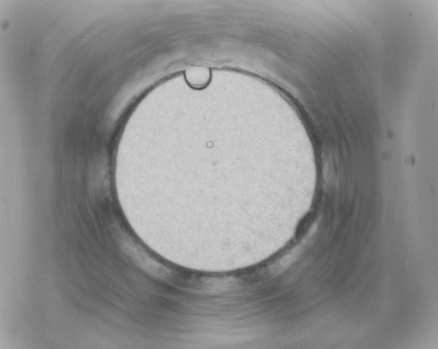 X0000074971498200609291925