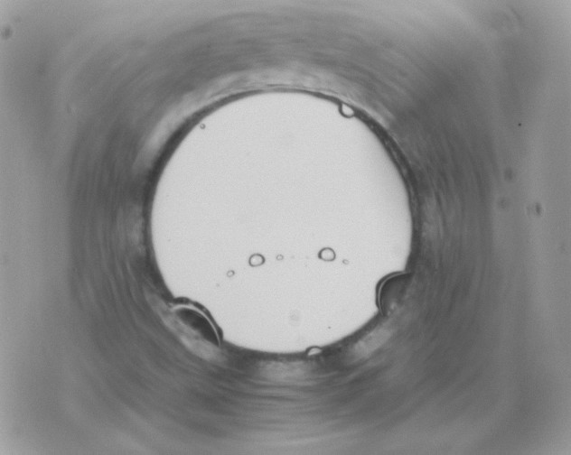 X0000074971499200609291925