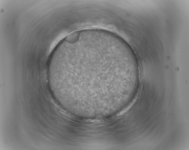 X0000074971501200609291925