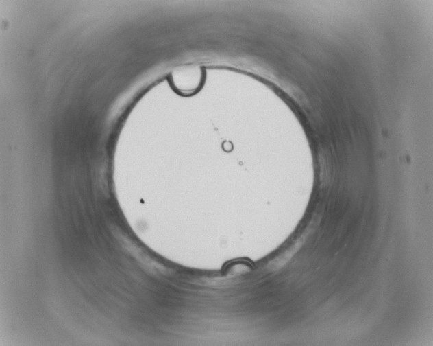 X0000074971502200609291925