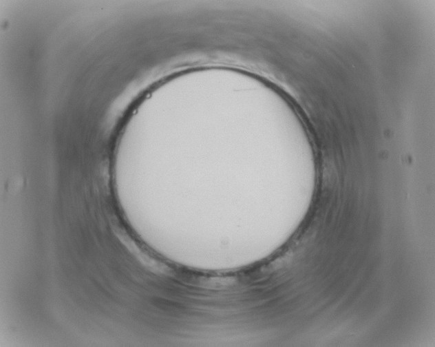 X0000074971503200609291925