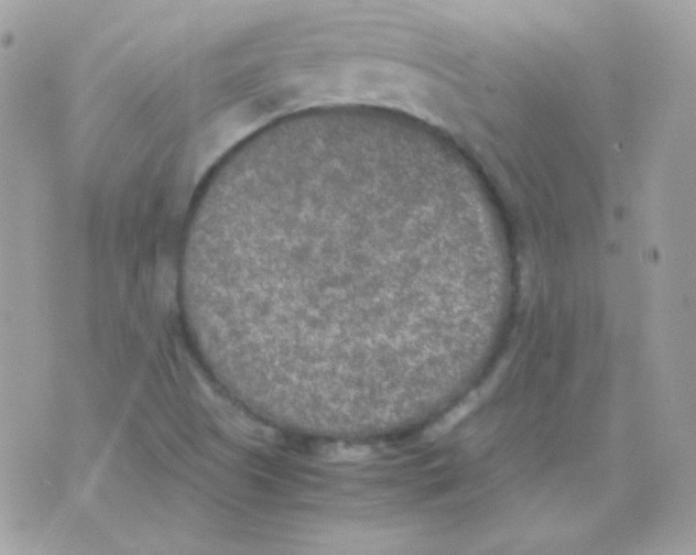 X0000074971505200609291925