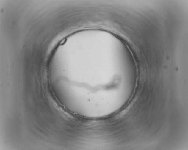 X0000074971506200609291925