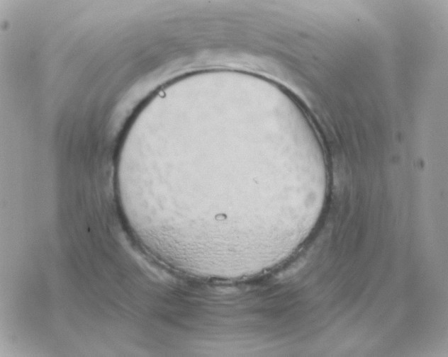 X0000074971507200609291925