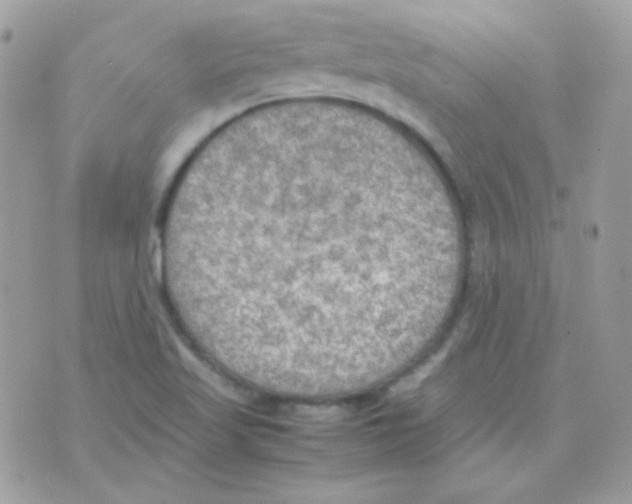 X0000074971509200609291925