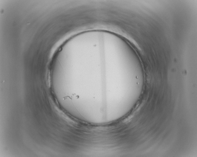 X0000074971510200609291925