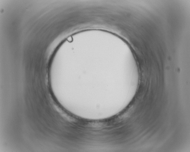 X0000074971511200609291925