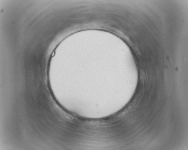 X0000074971512200609291925