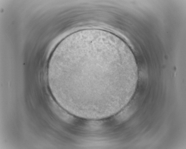 X0000074971514200609291925