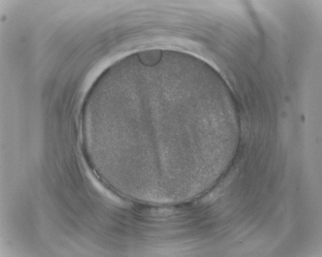 X0000074971515200609291925