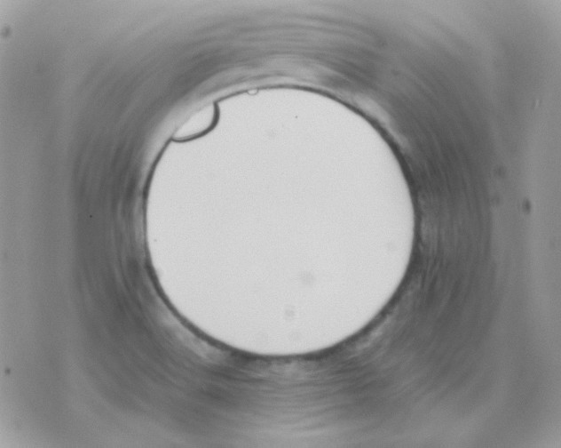 X0000074971516200609291925