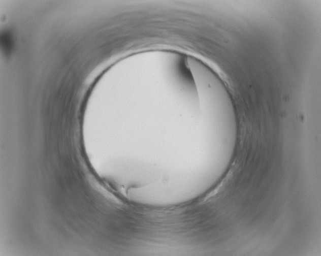 X0000074971518200609291925