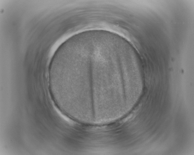 X0000074971519200609291925