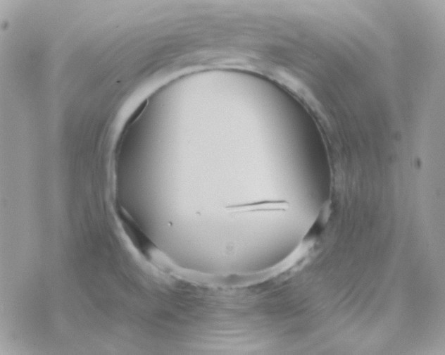 X0000074971520200609291925