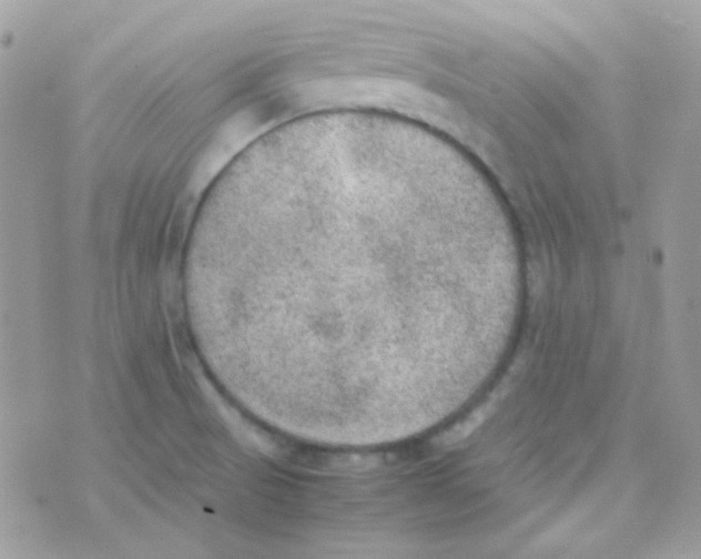 X0000074971521200609291925