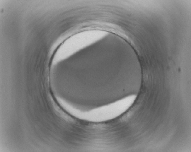 X0000074971522200609291925