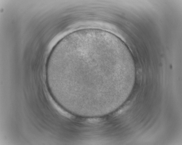 X0000074971523200609291925