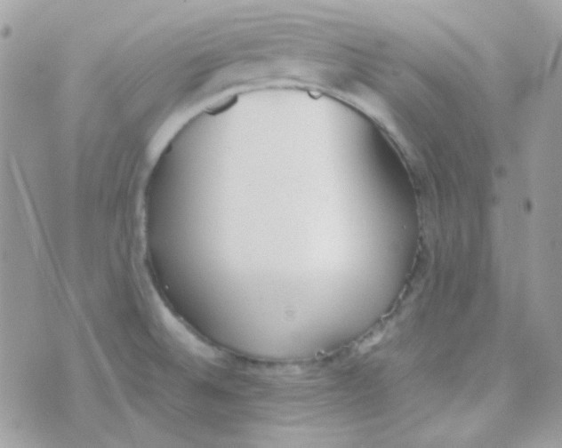 X0000074971524200609291925