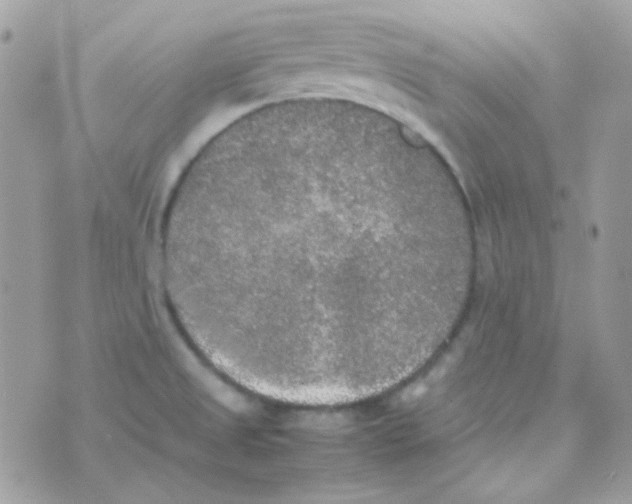 X0000074971525200609291925