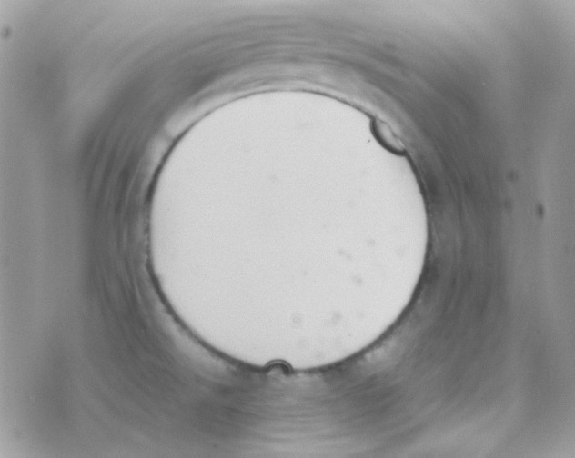 X0000074971526200609291925