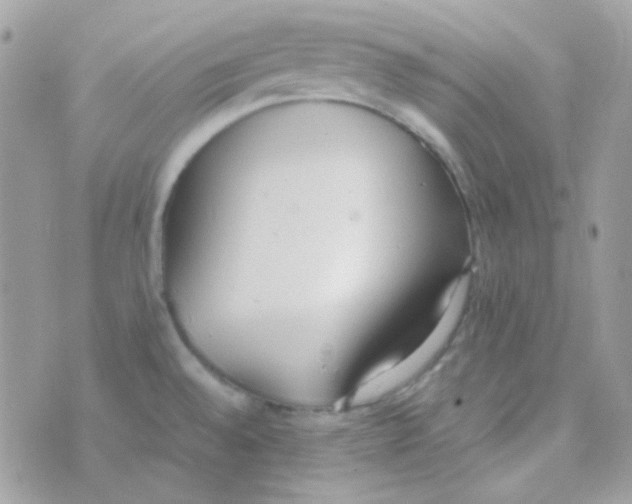 X0000074971528200609291925