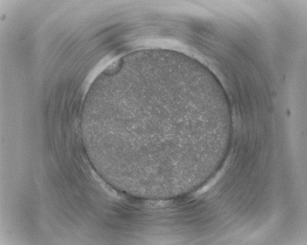 X0000074971529200609291925