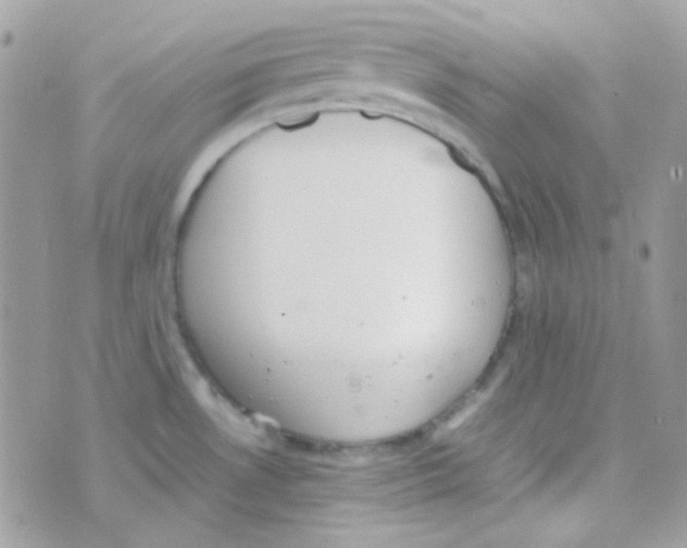 X0000074971530200609291925