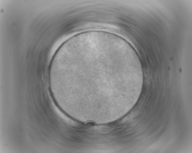 X0000074971531200609291925