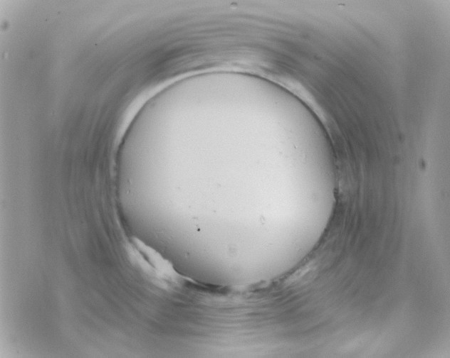 X0000074971532200609291925