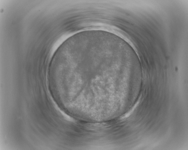 X0000074971533200609291925