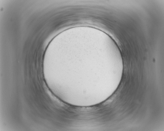 X0000074971534200609291925